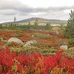 Amazing In With Wifi * Sjusjoen