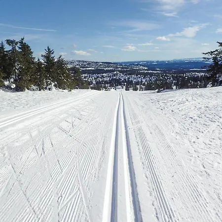 Feriehus Amazing In With Wifi Sjusjoen