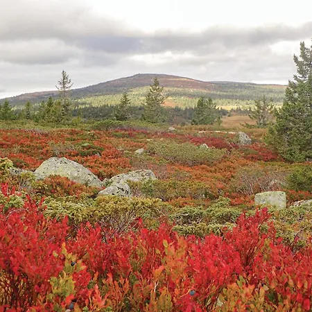 Amazing In With Wifi * Sjusjoen