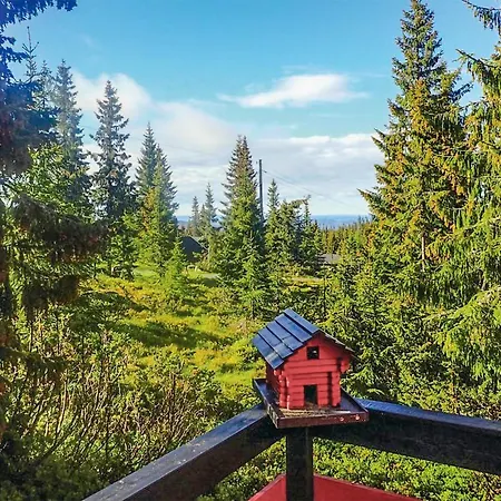 Amazing In With Wifi