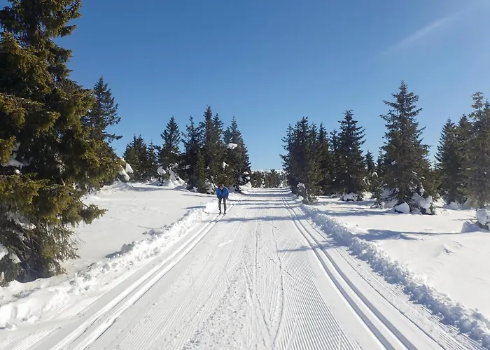 Ferienhaus Amazing In With Wifi Sjusjoen