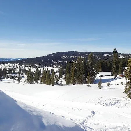 Cozy In With Wifi Sjusjoen