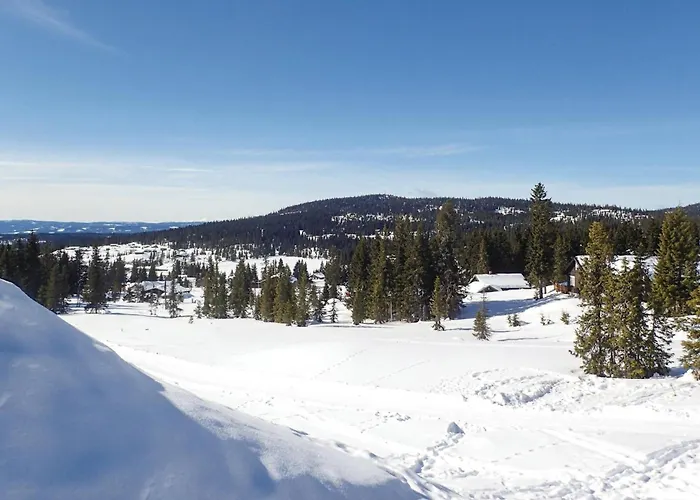 Amazing In With Wifi Sjusjoen