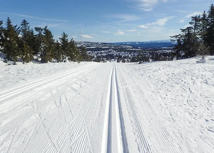 בית נופש Amazing In With Wifi Sjusjoen